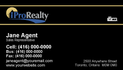 iPro Realty Business Cards