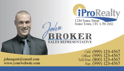 iPro Realty Business Cards