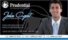 Prudential Realty Business Cards